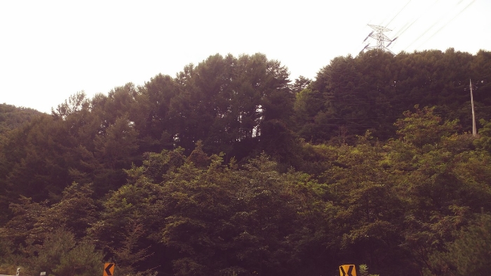 2022타경1280[1]