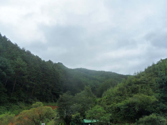 2022타경1280[1]