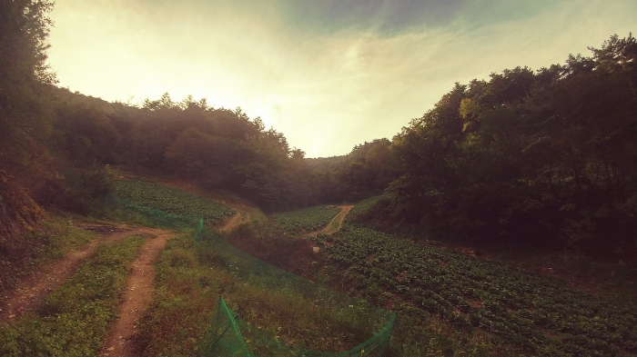 2022타경1280[1]