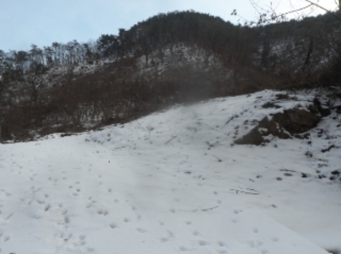본건 근거리에서 촬영한 것임