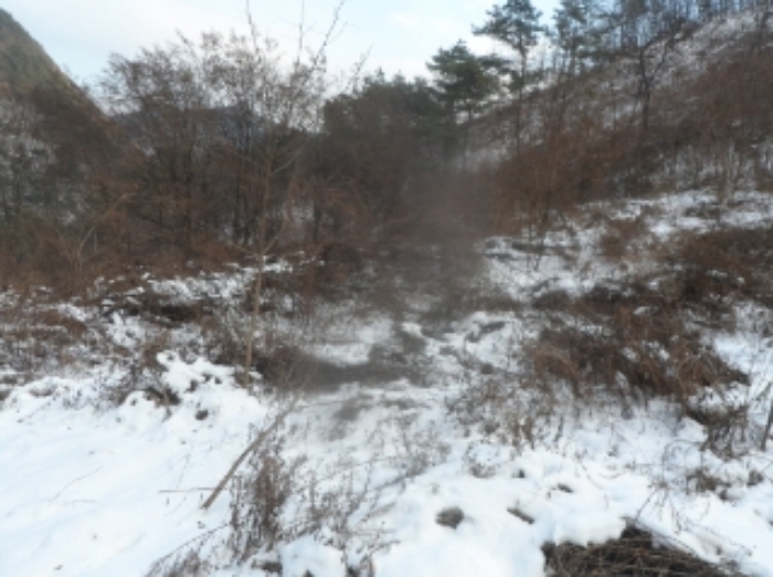본건 근거리에서 촬영한 것임