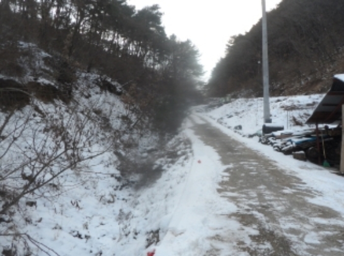 본건 근거리에서 촬영한 것임