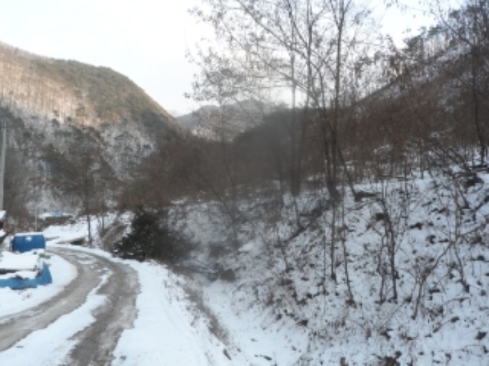 본건 근거리에서 촬영한 것임