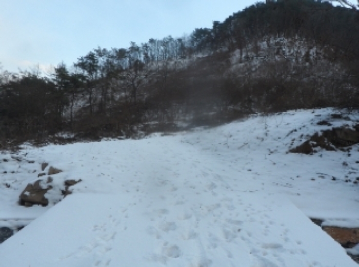 본건 근거리에서 촬영한 것임