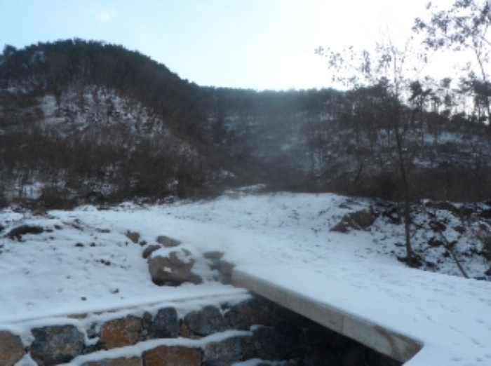 본건 근거리에서 촬영한 것임