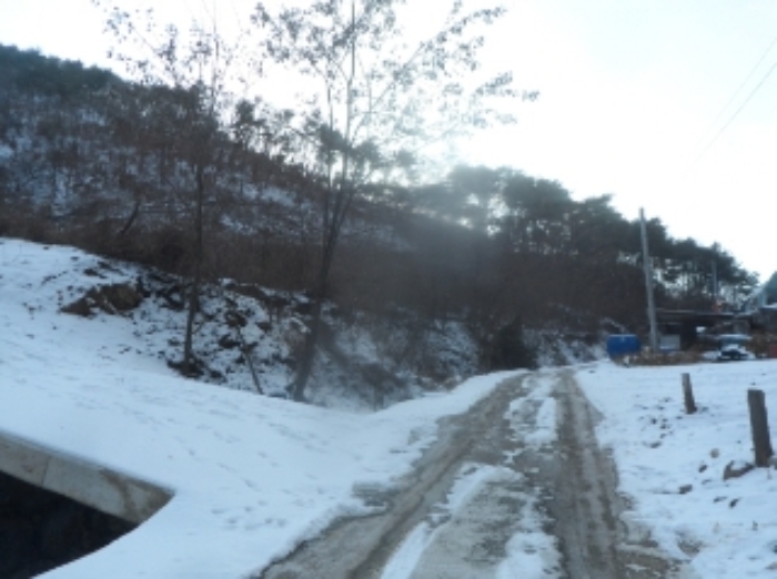 본건 근거리에서 촬영한 것임