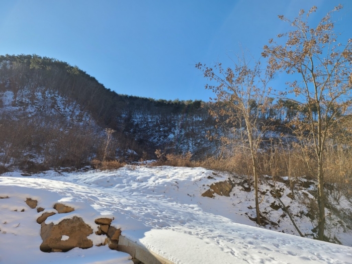 본건 전경