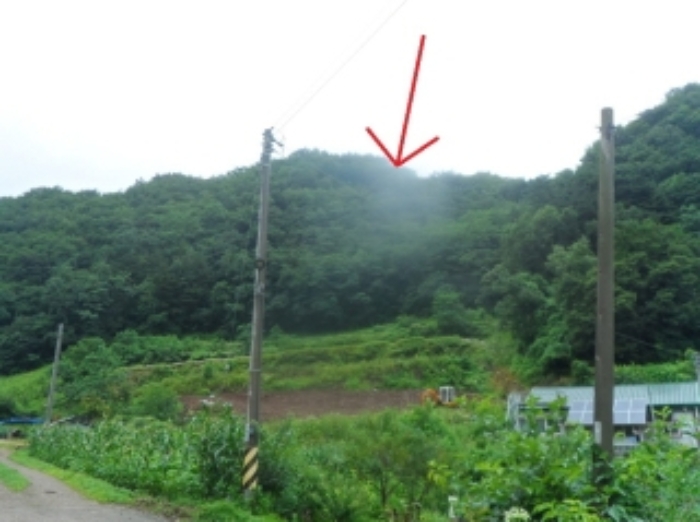2022타경201431