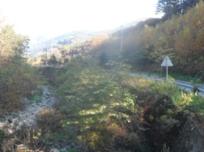 기호 2번 근거리에서 촬영한 것임