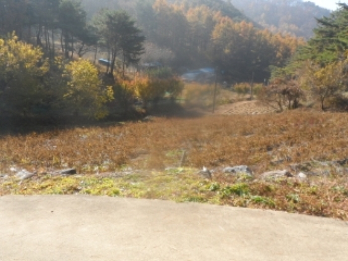 2022타경202090