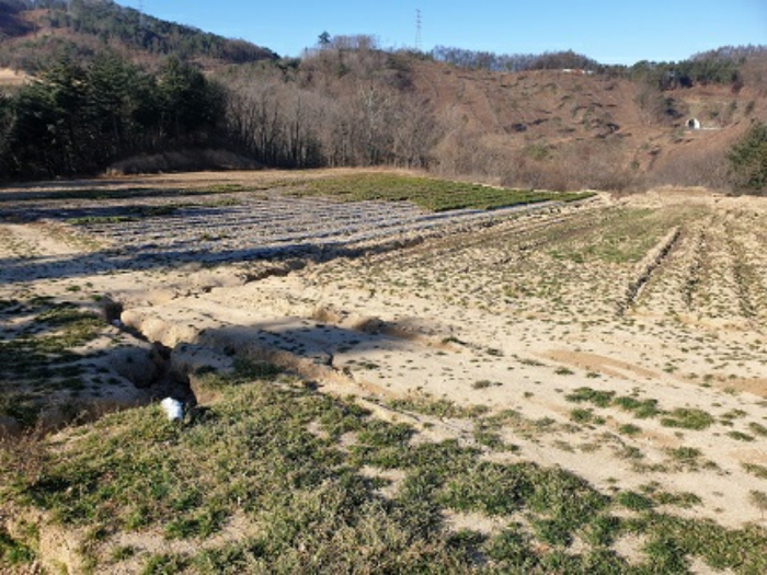 본건 동측 전경