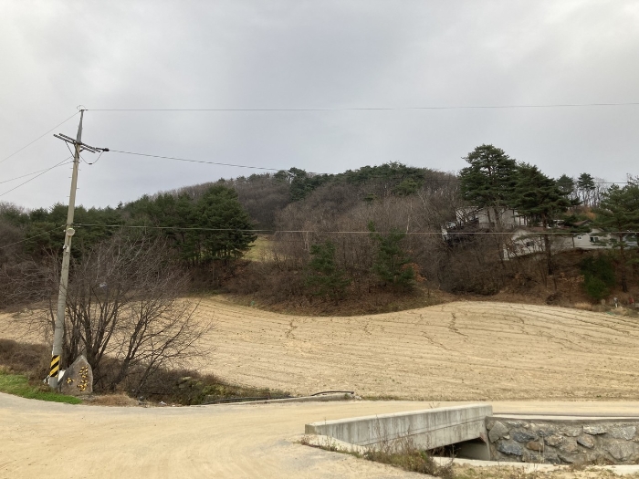 기호 1