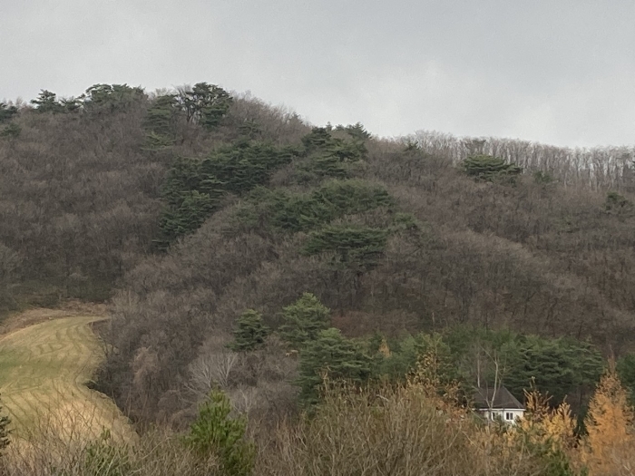 기호 1