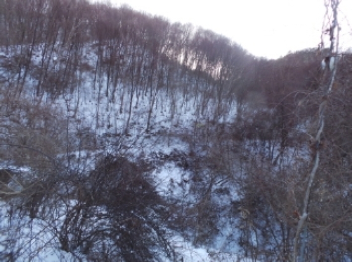 기호 31번 근거리에서 촬영한 것임
