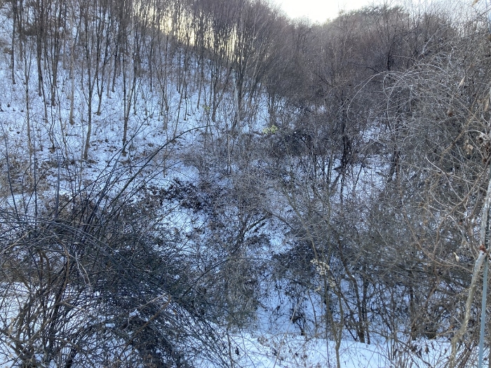 기호(31)