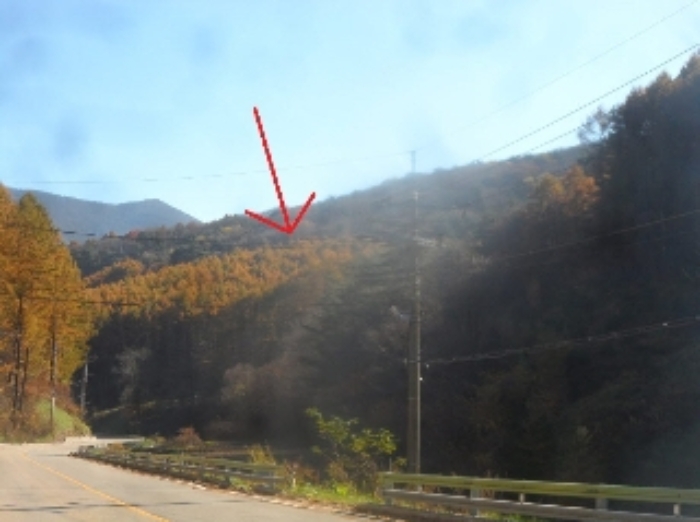 기호 1번 원거리에서 촬영한 것임
