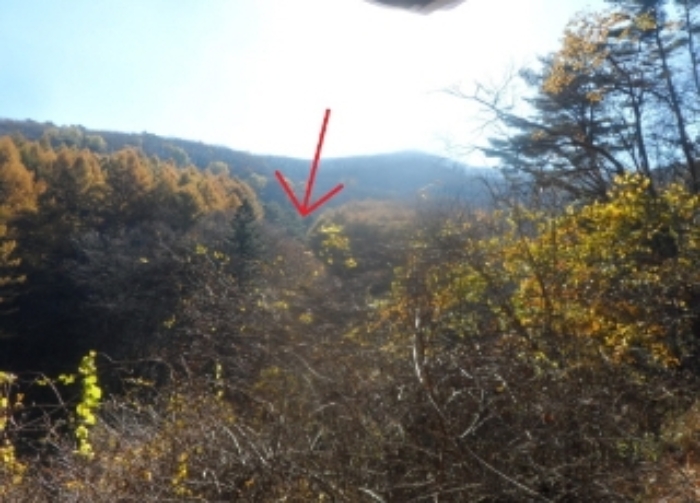 기호 2번 원거리에서 촬영한 것임