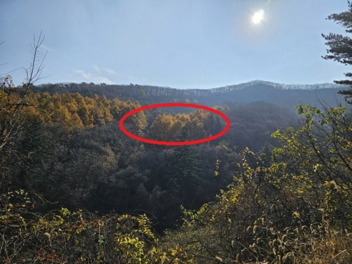 일련번호(2) 북동측 원경