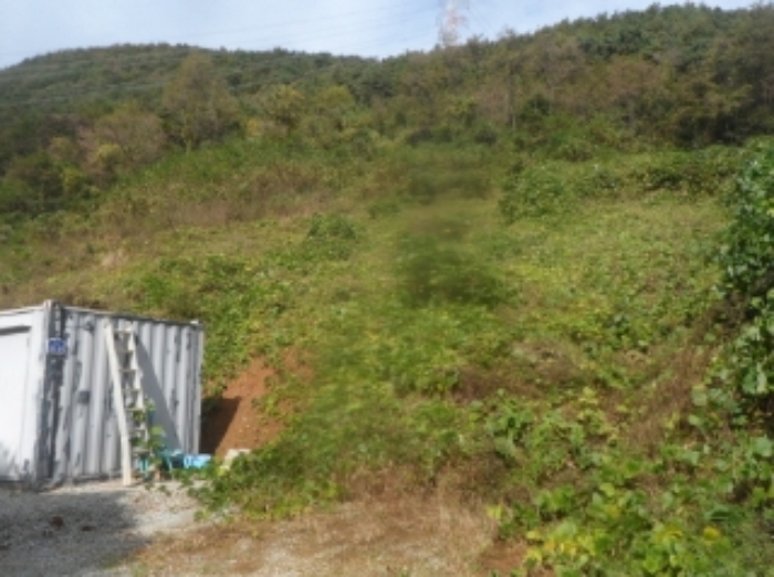 본건 근거리에서 촬영한 것임