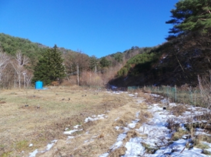 기호 2번 근거리에서 촬영한 것임