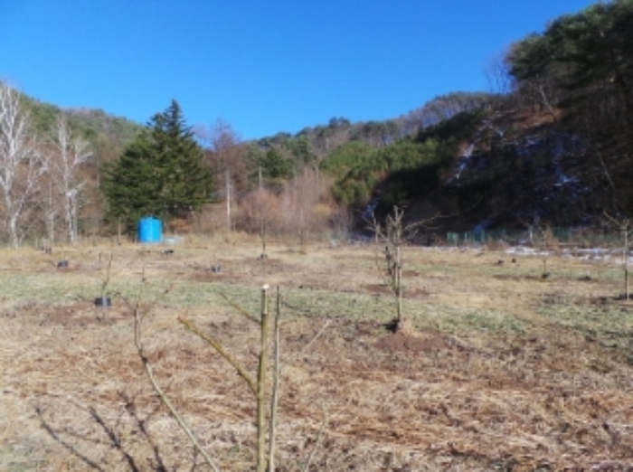 기호 2번 근거리에서 촬영한 것임