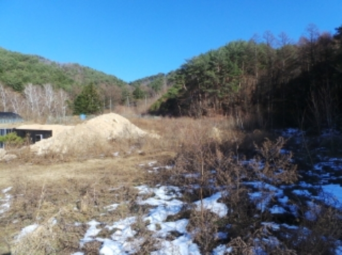기호 3번 근거리에서 촬영한 것임