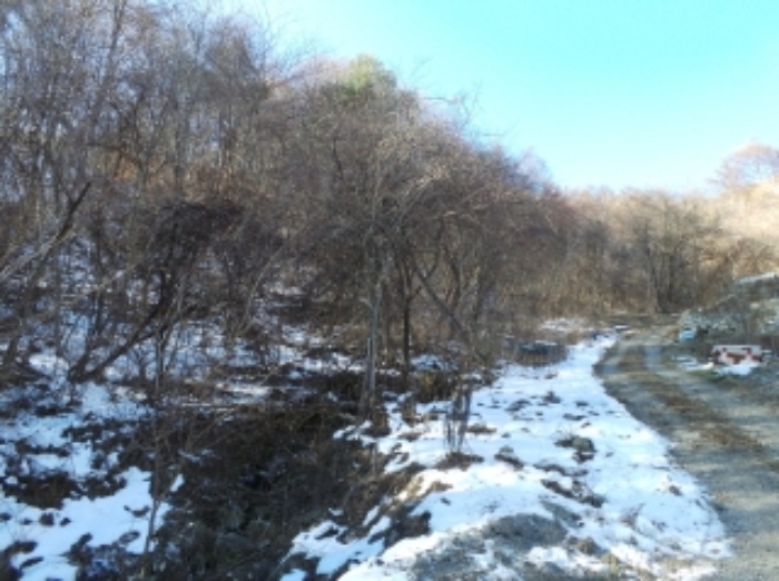 기호 4번 근거리에서 촬영한 것임