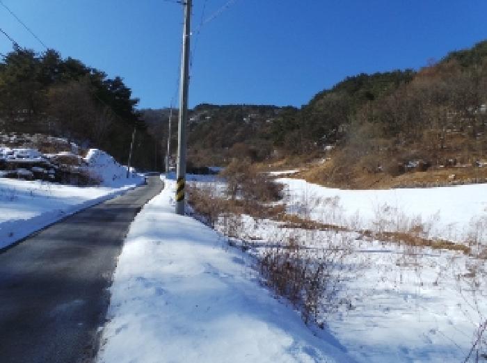 기호 1번 근거리에서 촬영한 것임