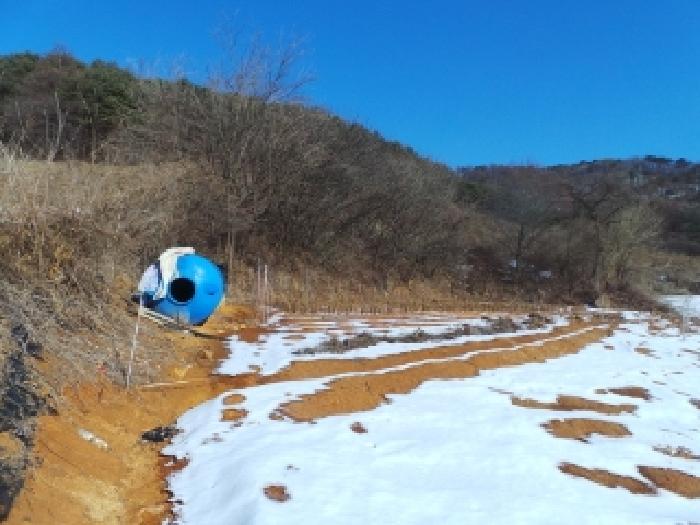 기호 3번 근거리에서 촬영한 것임