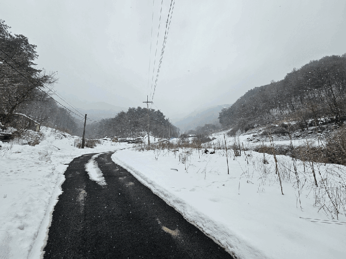 일련번호(1) 전경