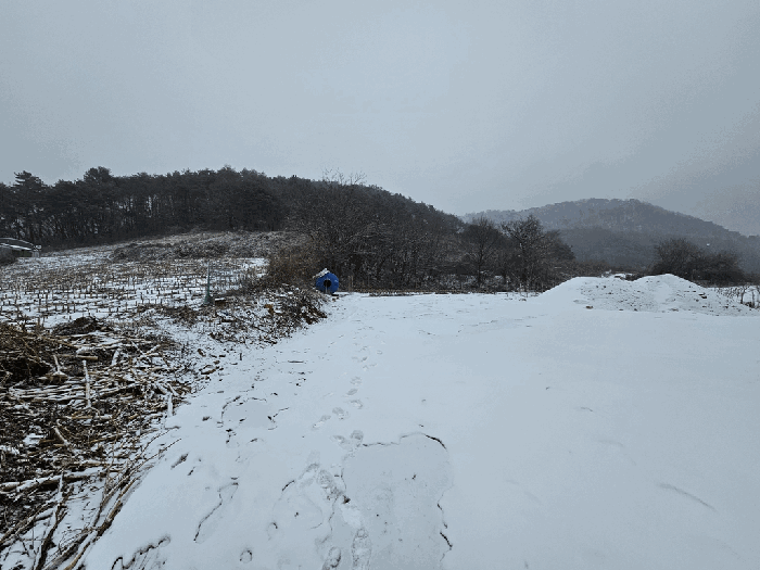 일련번호(3) 전경