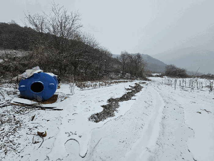 일련번호(3) 현황