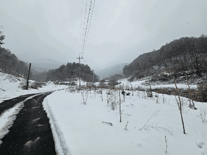일련번호(1) 북동측 현황