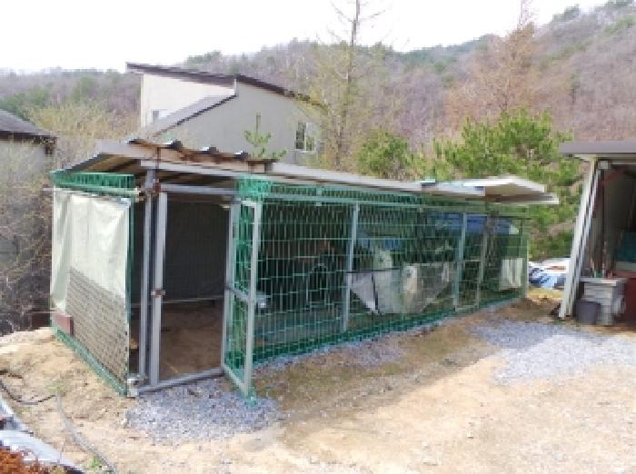 기호 1번 지상에 소재하는 것으로 보이는 제시외 경량철골조 견사