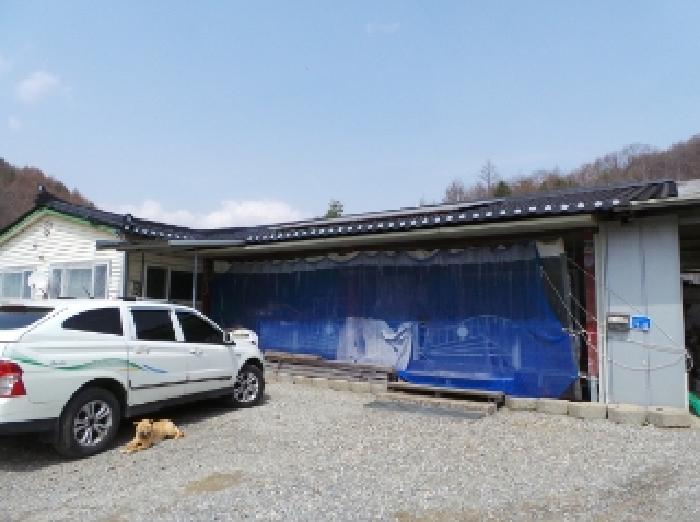 기호 2번 근거리에서 촬영한 것임