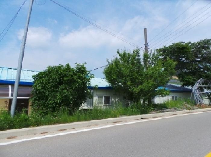 기호 1번 근거리에서 촬영한 것임