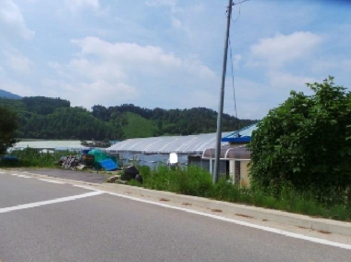 기호 1번 근거리에서 촬영한 것임