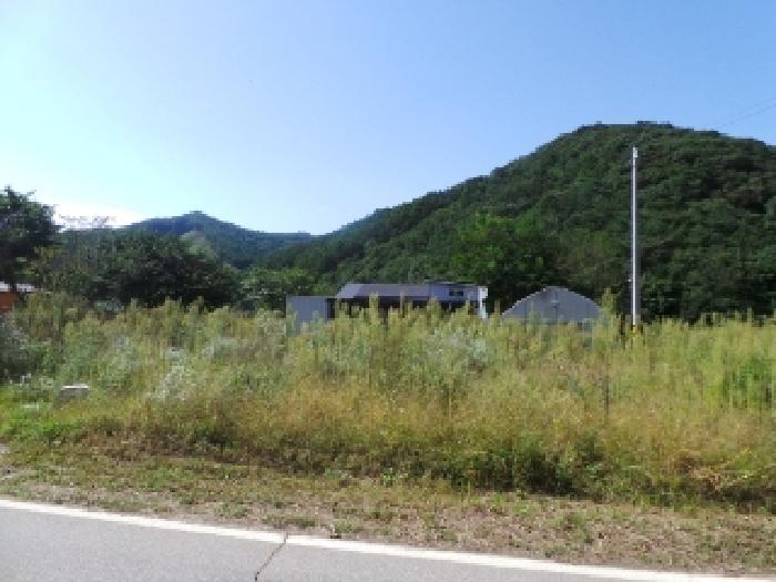 기호 1,2번 근거리에서 촬영한 것임