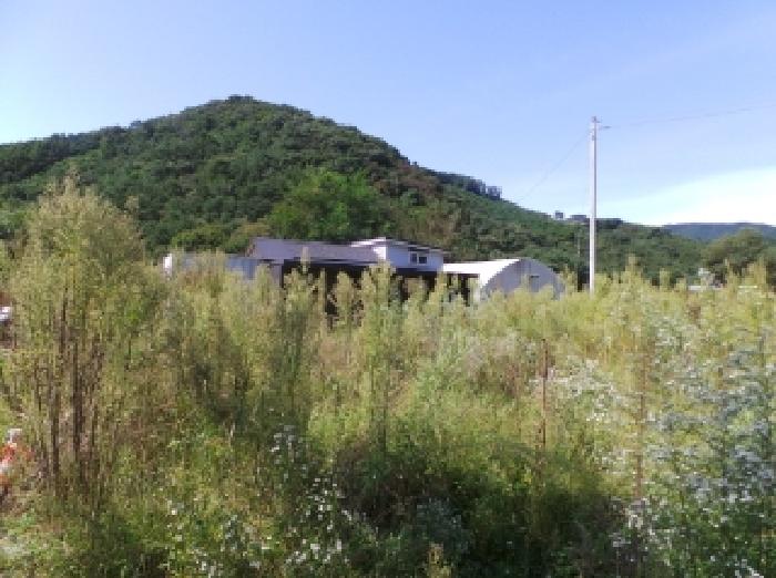 기호 1,2번 근거리에서 촬영한 것임