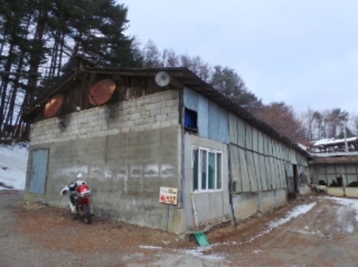기호 1번(가동) 근거리에서 촬영한 것임