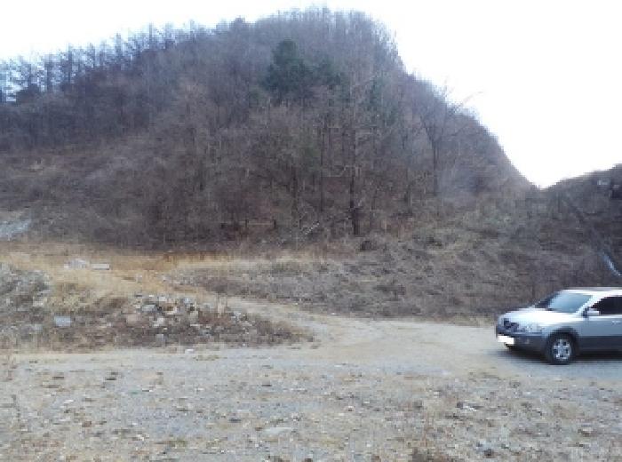 본건 근거리에서 촬영한 것임