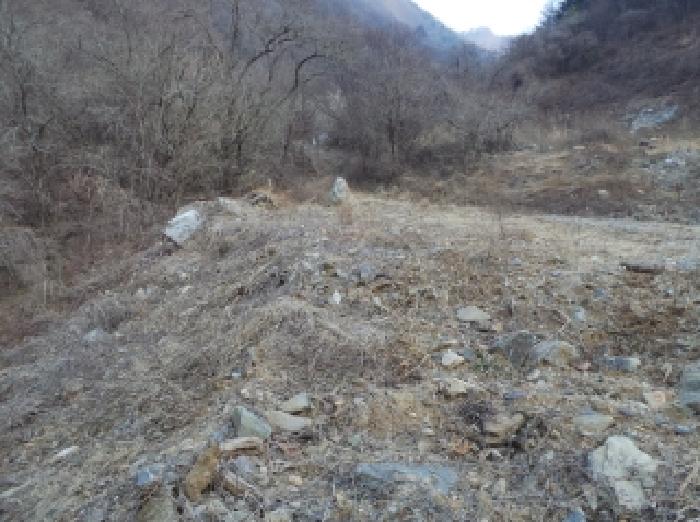 본건 근거리에서 촬영한 것임