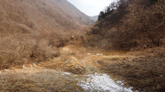 본건 서측 전경