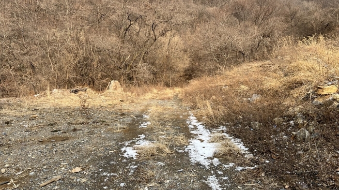 본건 내부 비포장 도로