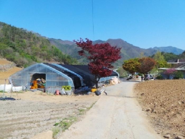 기호 2번 근거리에서 촬영한 것임