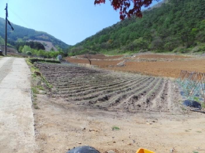 기호 2번 근거리에서 촬영한 것임