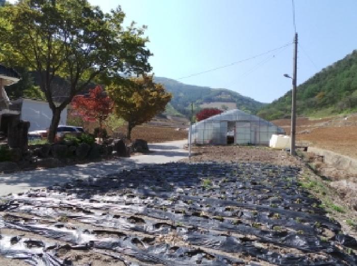 기호 2번 근거리에서 촬영한 것임
