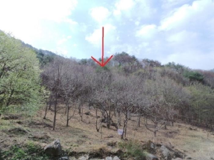 기호 2번 원거리에서 촬영한 것임