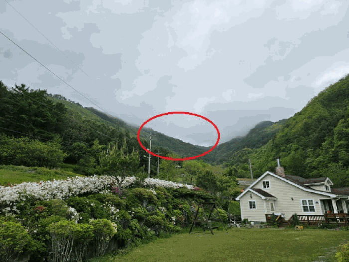 본건 북측 원경