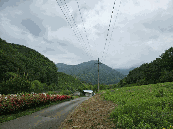 본건 주위환경
